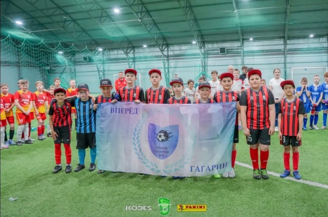 ФУТБОЛ. Одинцовский мяч