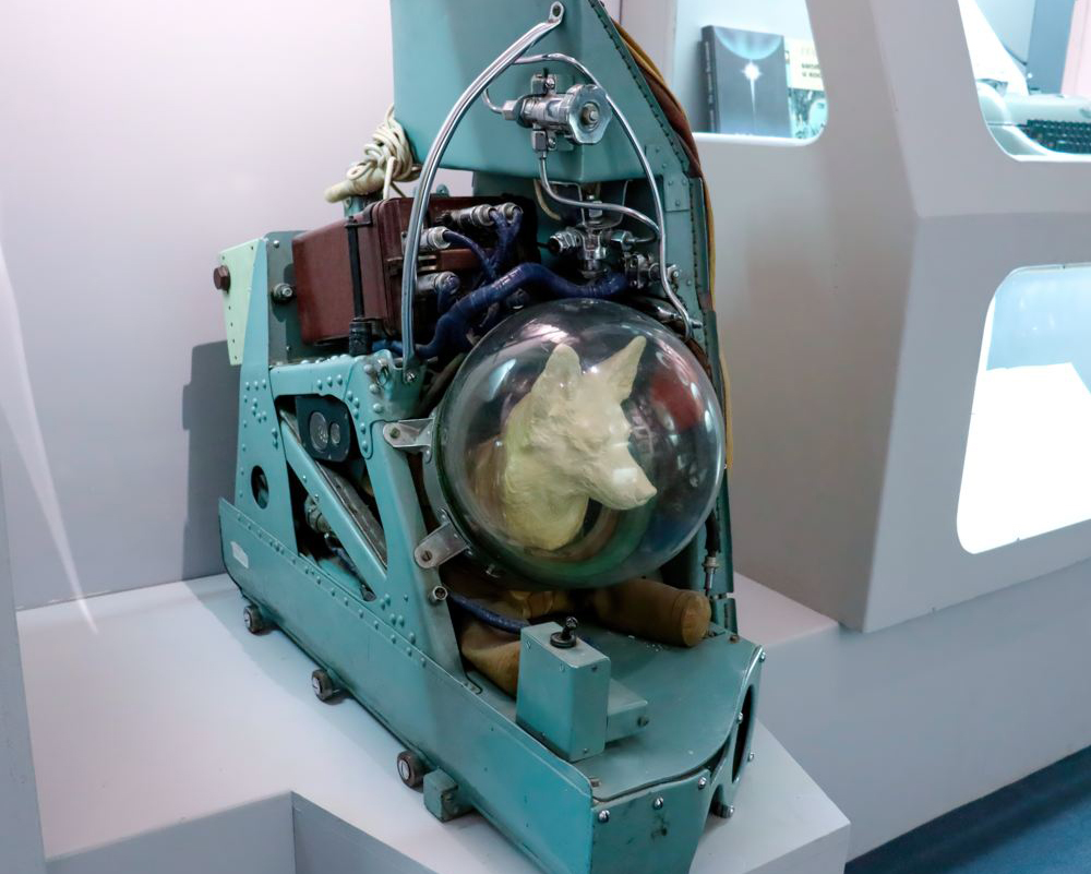 ПРЕДМЕТ С ВЫСТАВКИ. К полёту готовы!